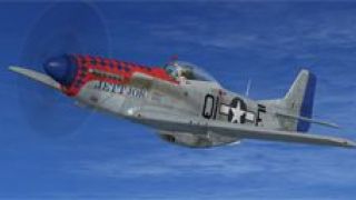 Screenshot 2 — North American P-51D-15-NA's 356th FG