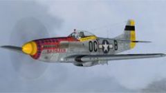 Screenshot 3 — North American P-51D-15-NA's 356th FG