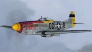 Screenshot 3 — North American P-51D-15-NA's 356th FG