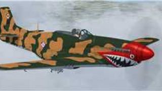 Screenshot 2 — Dominican Republic P-51D-5-NA FAD-1900