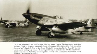 Screenshot 2 — P-51D Mustang 'Moonbeam McSwine' Update