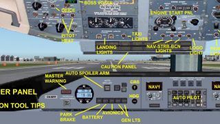 Screenshot 3 — DeHavilland DHC8-Q311 Caribbean Pair