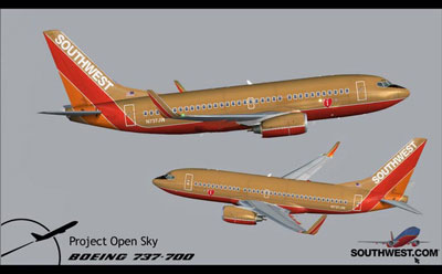 Southwest Boeing 737 texas livery