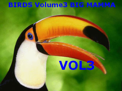 Birds Volume 3 for FSX