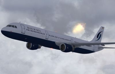 Blue Wings Airbus A321-211 in flight.