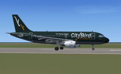Citybird Airbus A319 on runway.