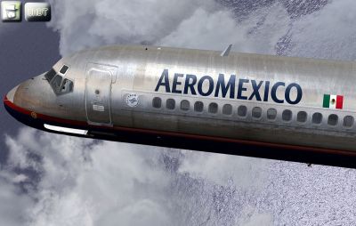 AeroMexico metal paint