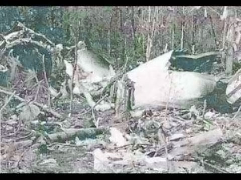 turkish airlines flight 981 body