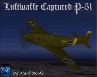 Screenshot of Luftwaffe Captured P-51 in flight.