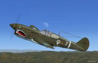 Screenshot of Scotts Old Exterminator P-40 in flight.