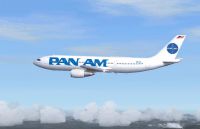 Screenshot of Pan Am Airbus A300B2 in flight.