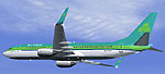 Screenshot of Aer Lingus Boeing 737-800 in flight.