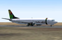 Screenshot of Afriqiyah Boeing 737-400 on runway.