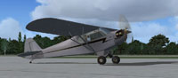 Screenshot of Grey Piper Cub on the ground.