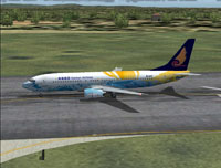 Screenshot of Hainan Airlines Boeing 737-800 on runway.