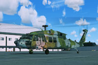 Screenshot of USAF Sikorsky HH-60 Pave Hawk on the ground.