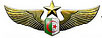 Algerian Air Force Logo.