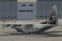 Screenshot of Belgian Air Force C-130 on the ground.