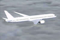 Screenshot of Boeing 787-9 in flight.