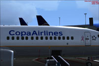 Screenshot of Copa Airlines Boeing 737-8V3 on the ground.