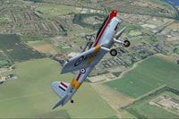 Screenshot of De Havilland Chipmunk WP800 in flight.