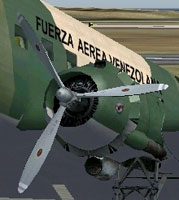 Screenshot of Default Douglas DC-3 with white tips.