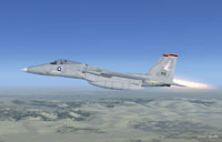 Screenshot of F-15 IAF 915 in flight.