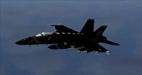 Screenshot of Salty Dogs F/A-18E in flight.