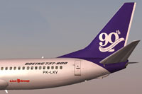 Screenshot of Lion Air Boeing 737-800NGX tail decal.