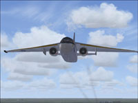 Screenshot of Lockheed S-3B Viking in flight.