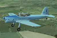 Screenshot of De Havilland Chipmunk in flight.