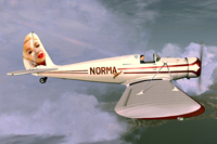 Screenshot of Pasped Skylark Norma Jeane in flight.