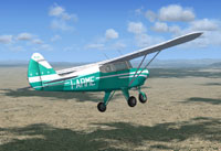 Screenshot of Piper Tri-Pacer I-ARME in flight.