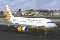 Screenshot of Royal Brunei Airlines Airbus A319-132 on runway.