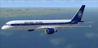 Screenshot of Southern Airlines VA Boeing 757-200 in flight.