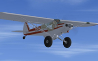 Screenshot of Super Cub Extreme2 N06010 in flight.