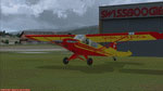Screenshot of Swiss Piper L21 Super Cub on the ground.
