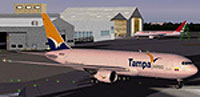 Screenshot of Tampa Columbia Cargo Boeing 767-200 on the ground.