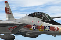 Screenshot of F-14 with corrected textures.
