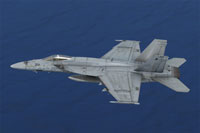Screenshot of US Navy F/A-18E R in flight.