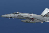 Screenshot of US Navy VFA-204 CAG F/A-18E in flight.
