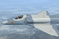 Screenshot of USN A4E VF-126 in flight.