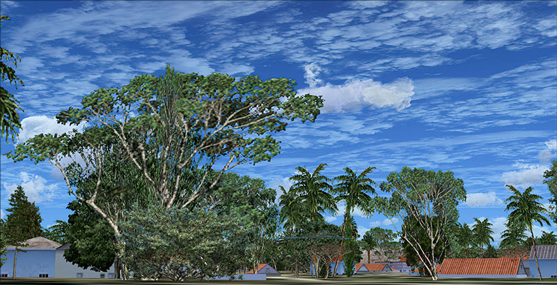 Enhanced trees in FSX