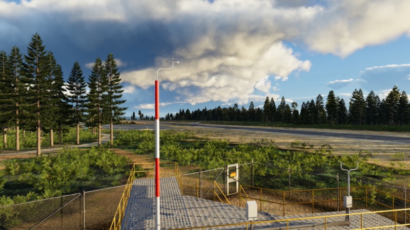 Runway in the trees.