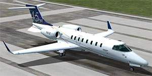 Example of the fixed textures on the default Learjet.