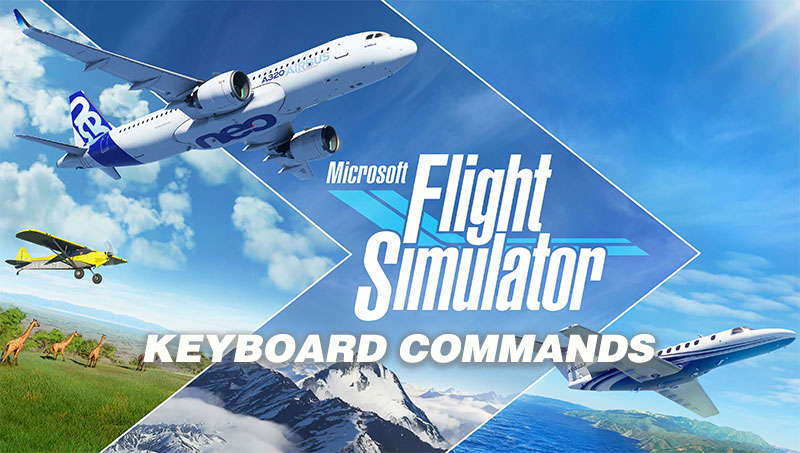 Microsoft Flight Simulator 2020 autopilot: How to activate it