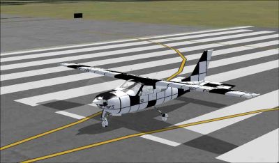 Cessna 177RG "Crossword Flyer" on runway.