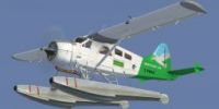 Green BC Coastal Beaver in flight.