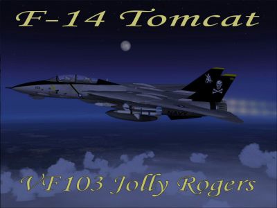 US Navy F-14 Tomcat in flight at night.