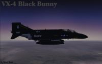 USAF F-4 Phantom II VX-4 Black Bunny in flight.